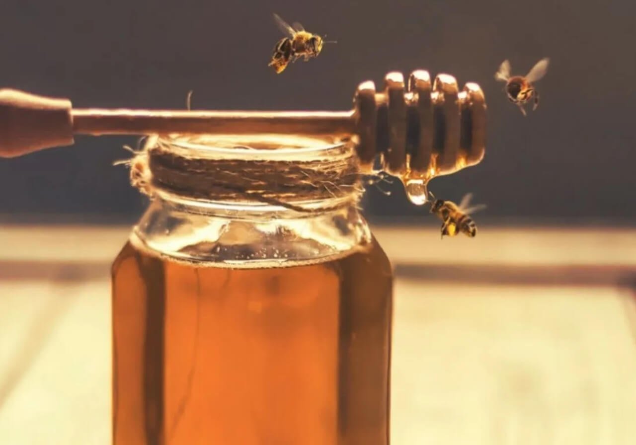 la miel de la abeja sagrada de los mayas