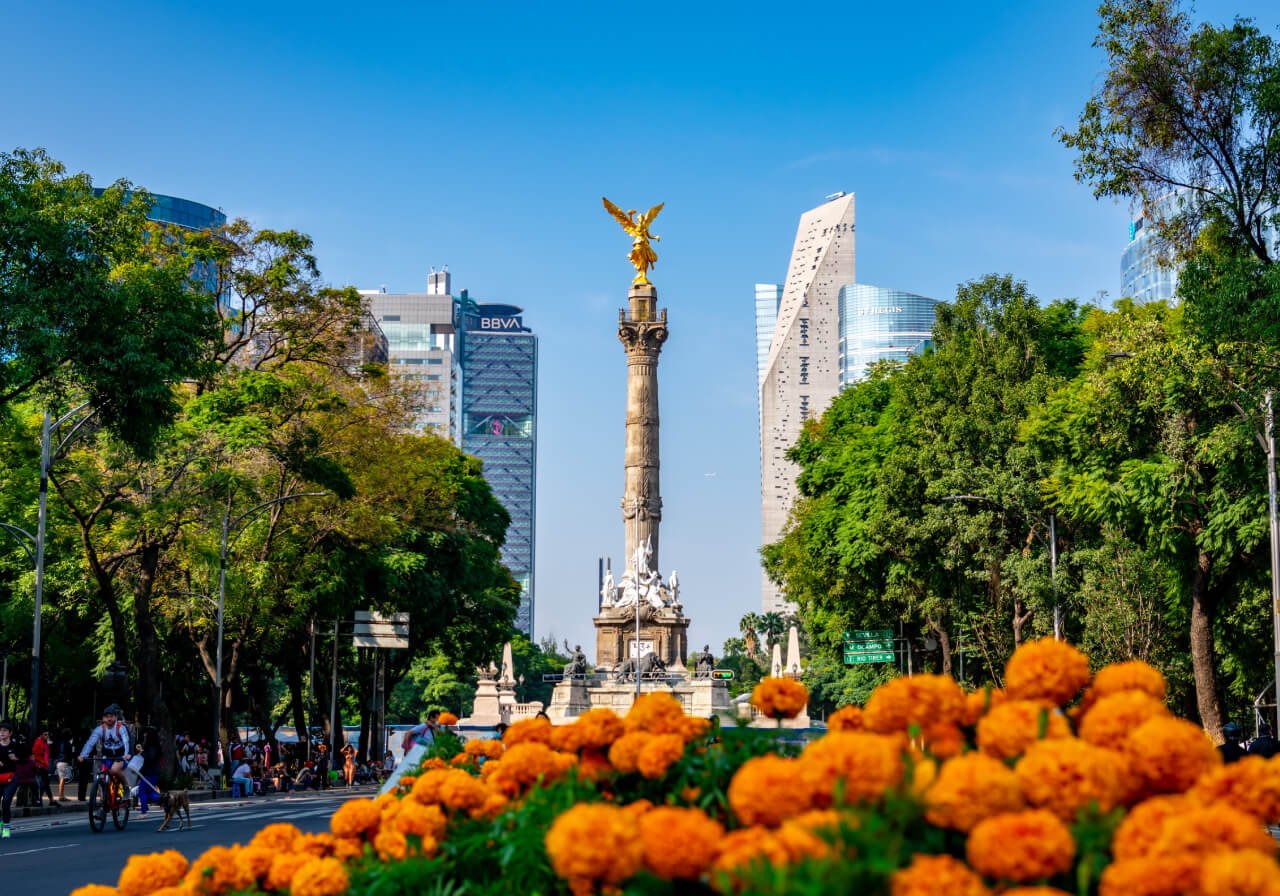 flores de cempasuchil en cdmx